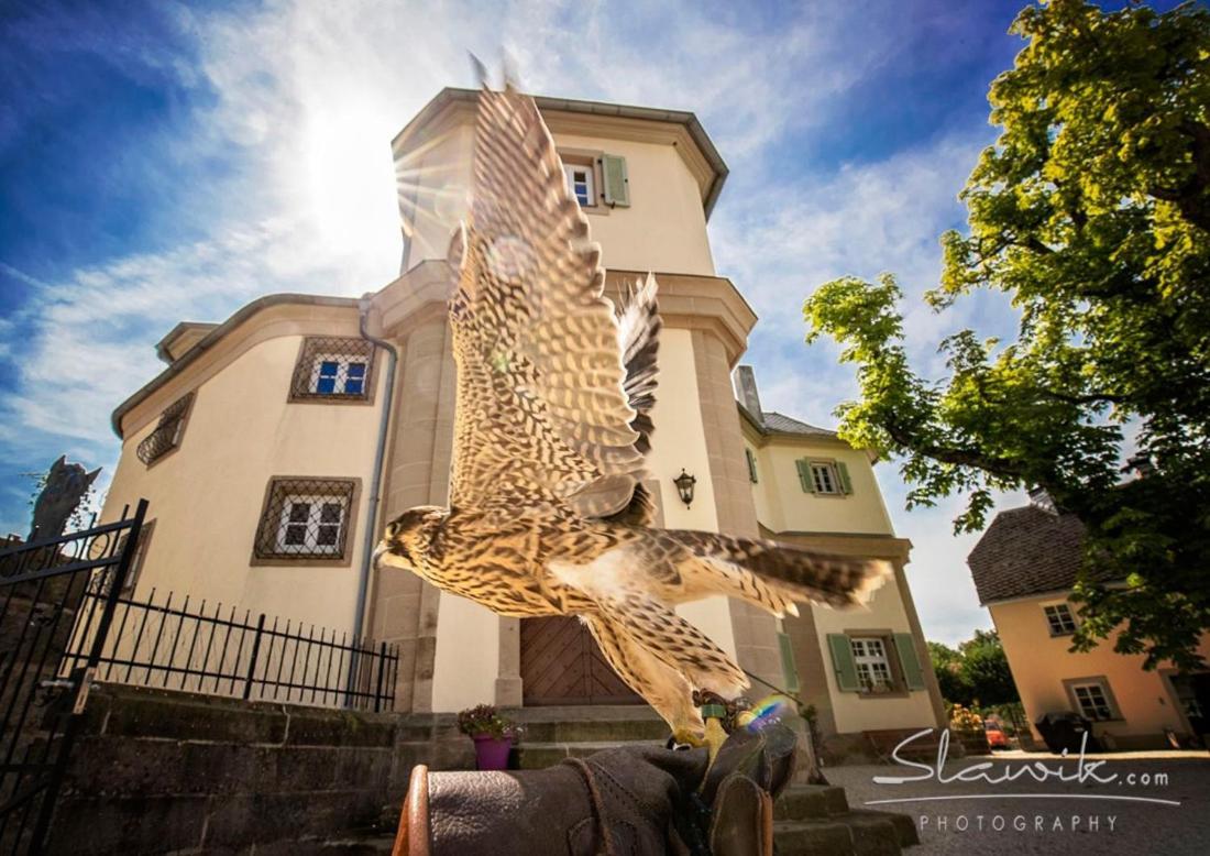 Schloss Falkenhaus Bad Berneck im Fichtelgebirge Extérieur photo